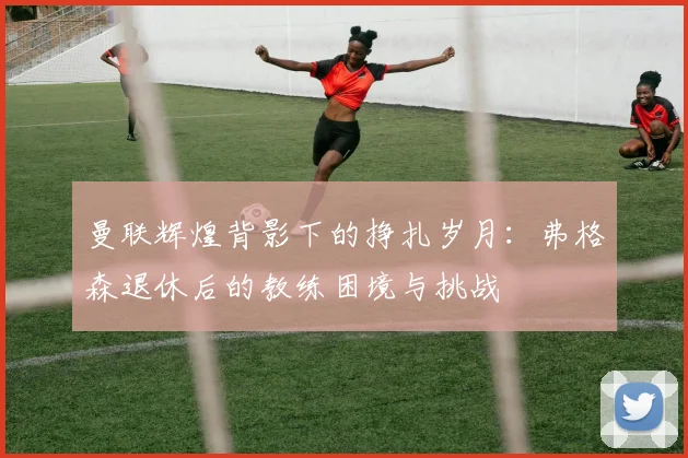 曼联辉煌背影下的挣扎岁月：弗格森退休后的教练困境与挑战