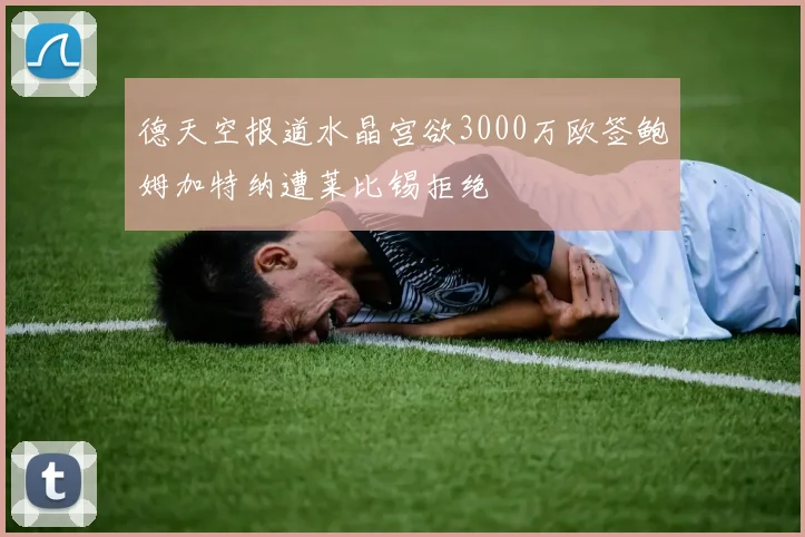 德天空报道水晶宫欲3000万欧签鲍姆加特纳遭莱比锡拒绝