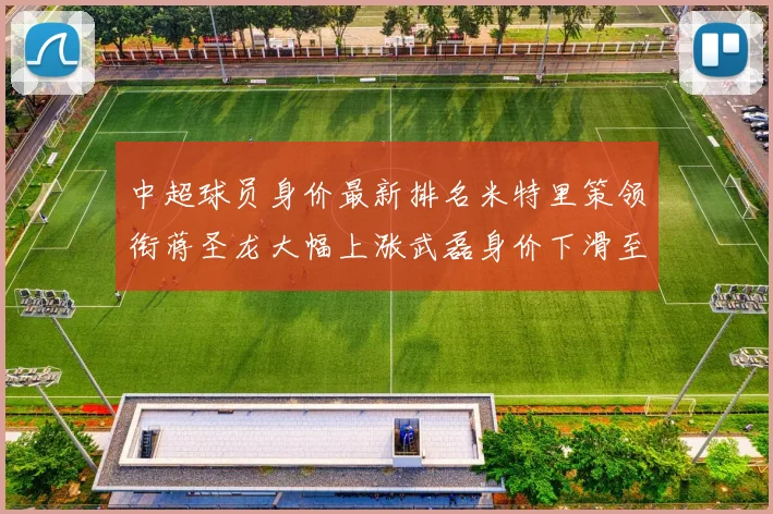 中超球员身价最新排名米特里策领衔蒋圣龙大幅上涨武磊身价下滑至50万
